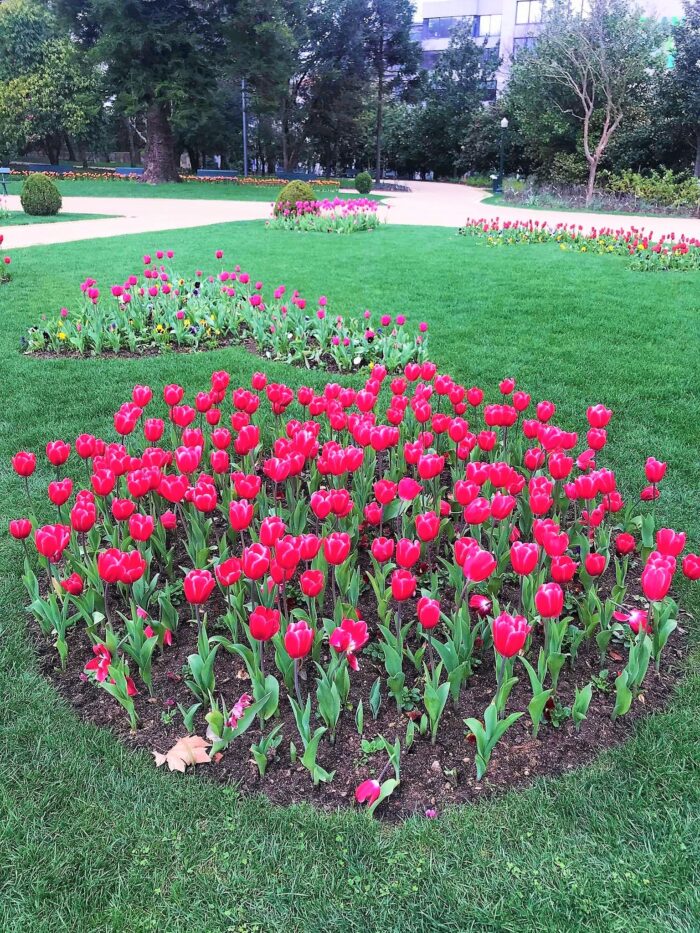 Crystal Palace Gardens in Porto